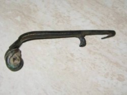 fibula