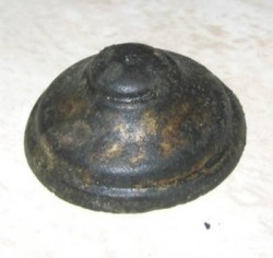fibula