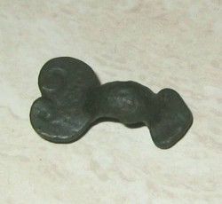 fibula