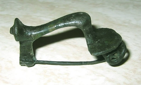knee fibula