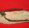 la tene fibula 501