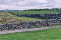 Hadrian wall